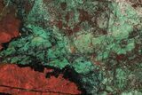 Colorful Sonora Sunset (Chrysocolla Cuprite) Slab - Mexico #192923-1